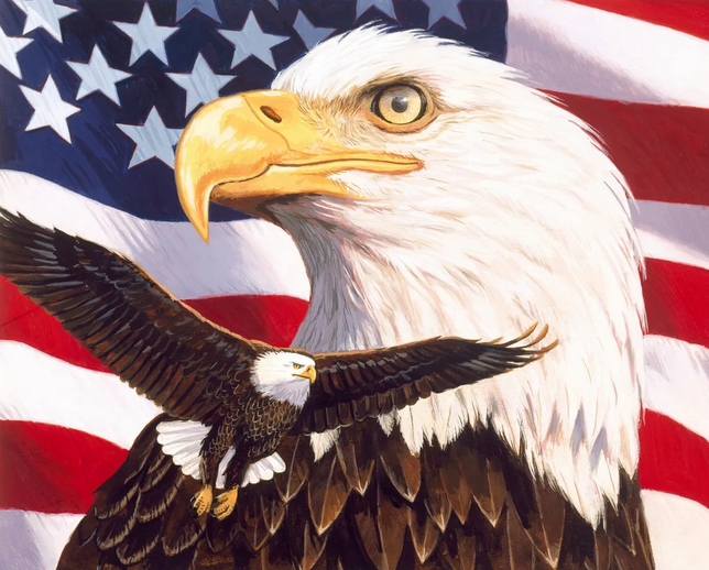File:EAGLE FREEDOM USA.png