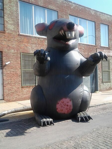 File:Scabby the Rat.jpg