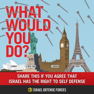 Flickr - Israel Defense Forces - Infographics, What Would You Do.jpg