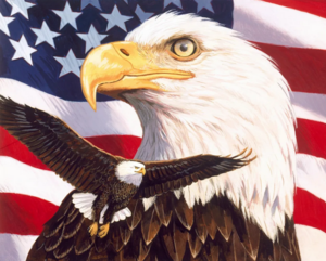 EAGLE FREEDOM USA.png