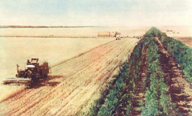 File:USSRAgriculture1.jpg